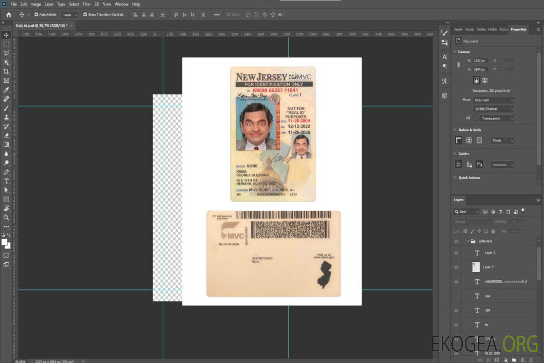 Carte d'identité des moins de 21 ans du New Jersey des États-Unis template Carte d'identité des moins de 21 ans du New Jersey des États-Unis template